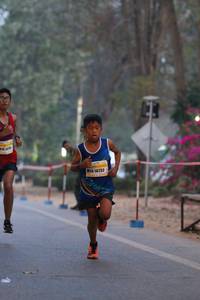 BIB: 16732
                            <button type="button" onclick="openModal(10408160)" class="btn btn-primary btn-sm float-right btn-popup" data-toggle="modal" data-target=".modal-high-quality">
                        <i class="fas fa-shopping-cart"></i> Add to Cart
                    </button>
                                            <button type="button" onclick="isThisMe(10408160, true)" class="btn btn-success btn-sm float-right btn-popup btn-isme hidden" data-toggle="tooltip" data-placement="bottom" title="นี่คือรูปของคุณใช่ไหม คลิกที่นี่เพื่อเอาเข้าอัลบั้ม">
                        <i class="fas fa-plus"></i> Add to album
                    </button>
                    <button type="button" onclick="isThisMe(10408160, false)" class="btn btn-warning btn-sm float-right btn-popup btn-isnotme hidden">
                        <i class="fas fa-ban"></i> Remove from album
                    </button>